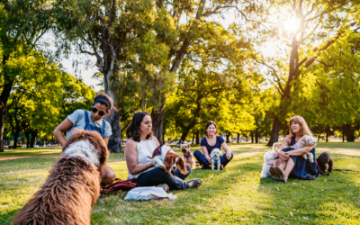 Building a Pet-Lover’s Network in Your Neighborhood